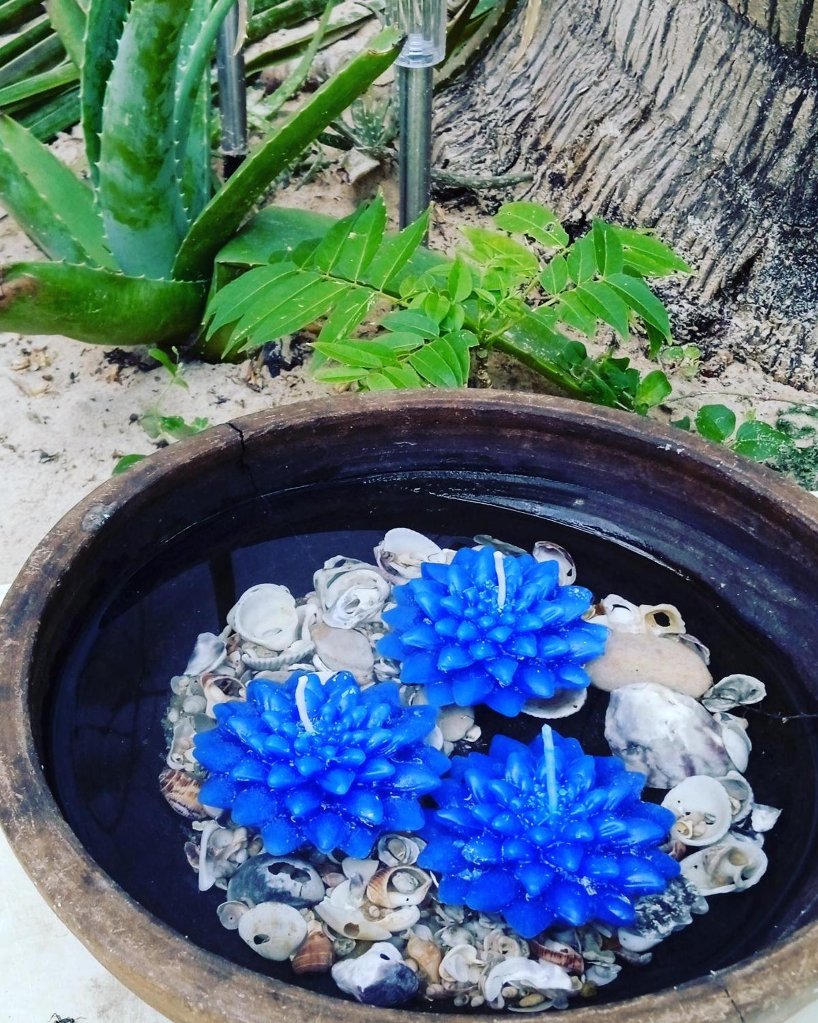 Chale Da Sereia Apart-Hotel Com Cozina Piscina Oasis No Centro De Jericoacoara Dış mekan fotoğraf